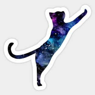 Cat Sticker